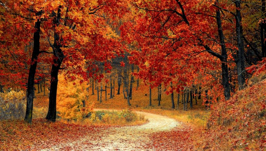 The Top Places to Travel in Fall