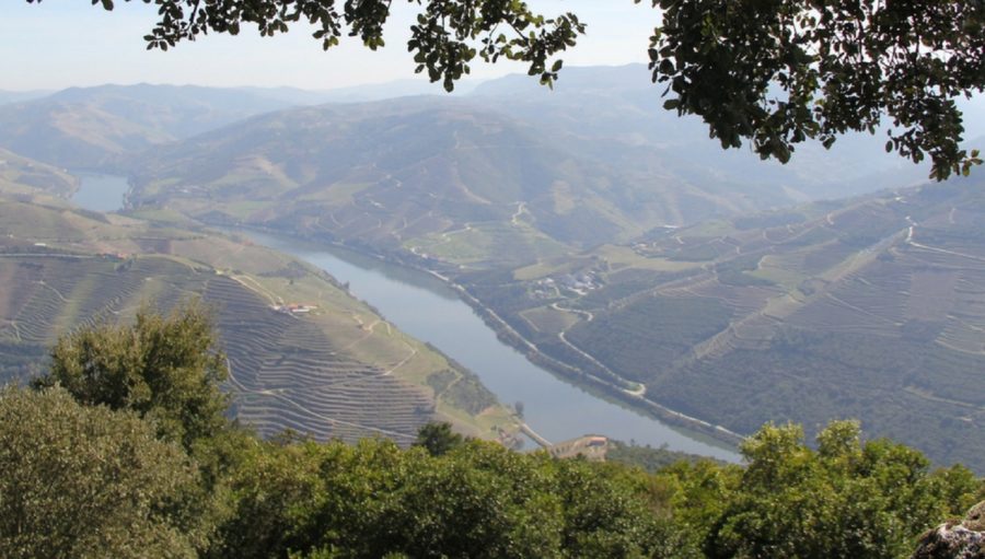 Sample Wine Along the Vinho Verde Wine Route