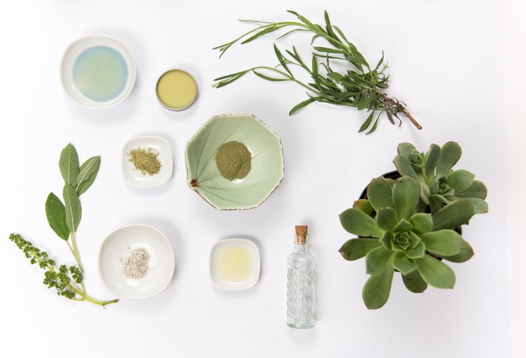 Natural Skincare 101: What Terms and Ingredients to Look for on Labels