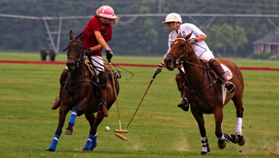 Polo Tournaments You Must Attend Around the World